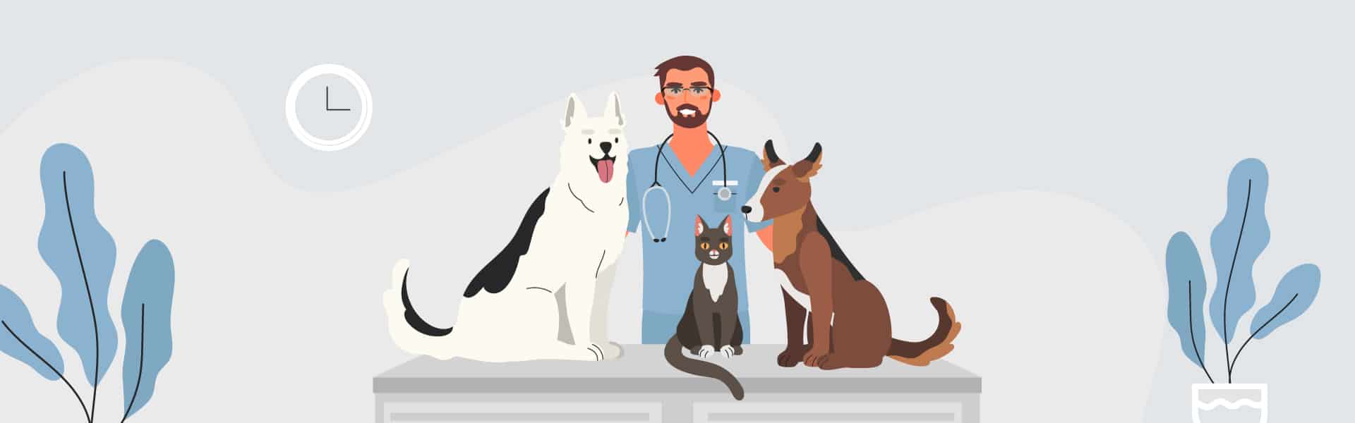 Vet taking care of three dogs